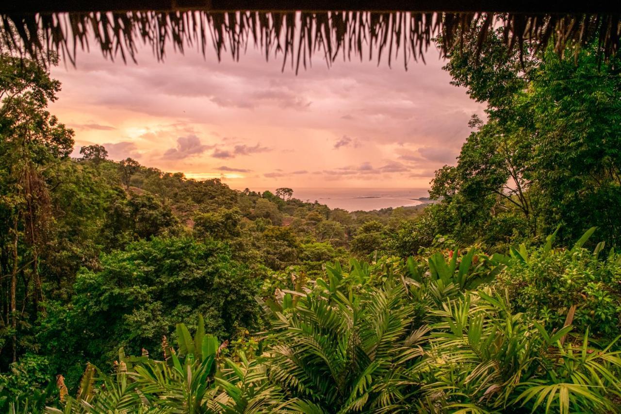 Selva Armonia Immersive Jungle Resort Uvita Exterior foto