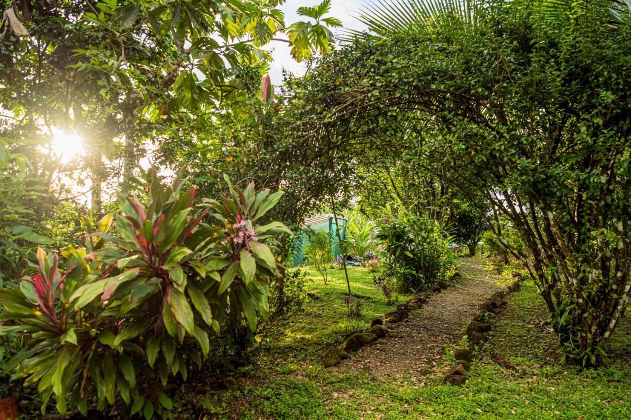 Selva Armonia Immersive Jungle Resort Uvita Exterior foto
