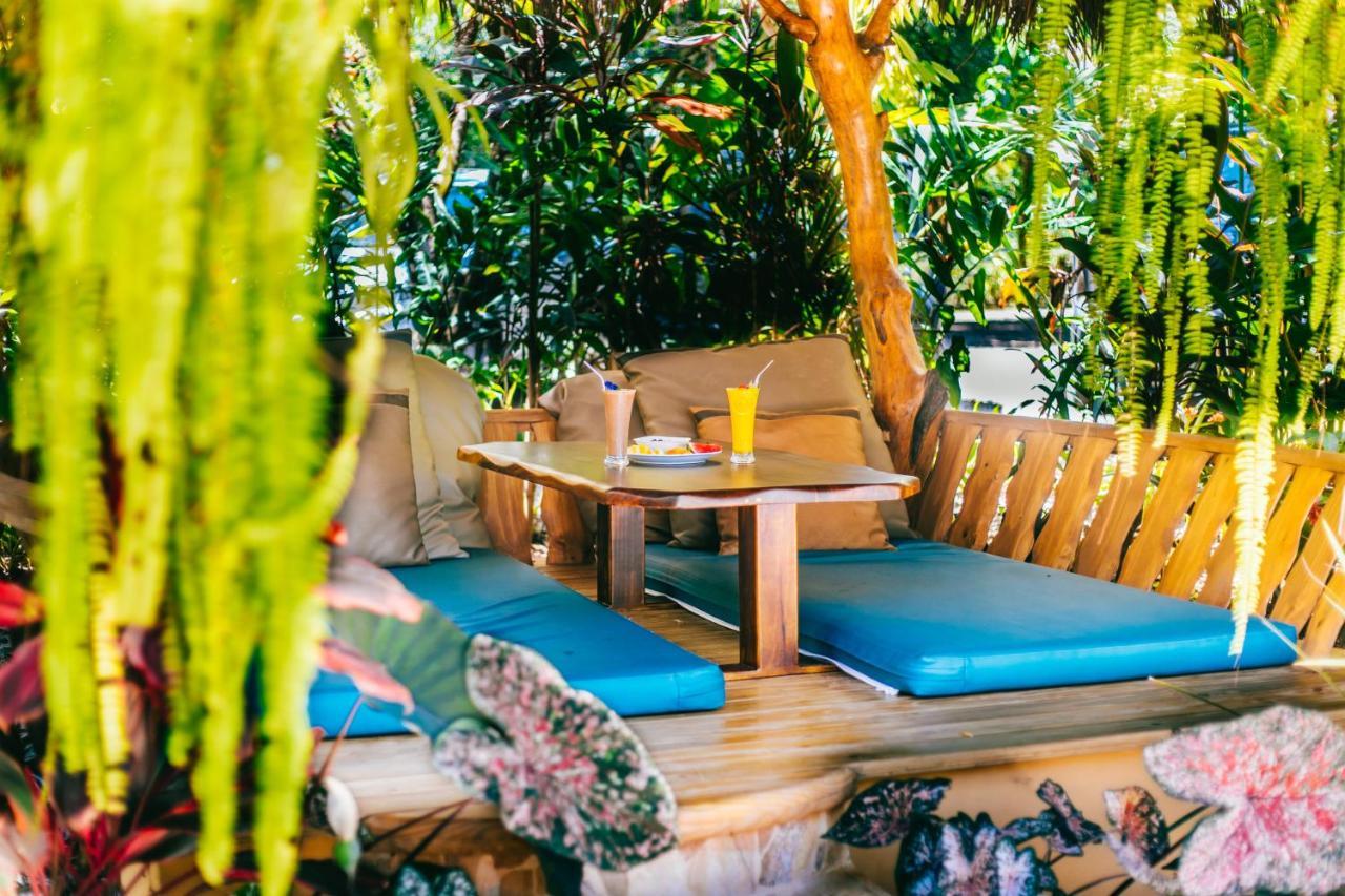 Selva Armonia Immersive Jungle Resort Uvita Exterior foto
