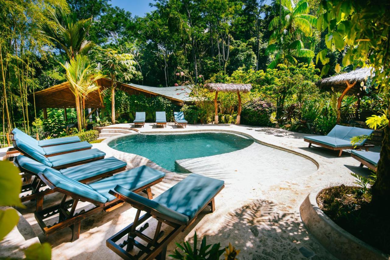 Selva Armonia Immersive Jungle Resort Uvita Exterior foto